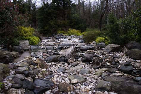 How To Build A Dry Stream Bed Ebay