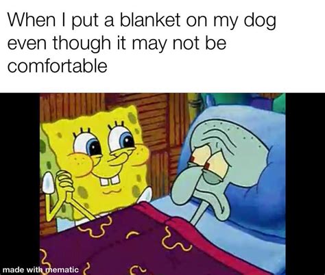 40 Funny Spongebob Memes Dank Spongebob Memes