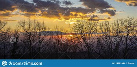 Vivid Sunset Behind Naked Trees Stock Photo Image Of Cloud Golden