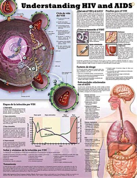 Sexually Transmitted Infections Chart 20x26 Hiv And Aids Nursing