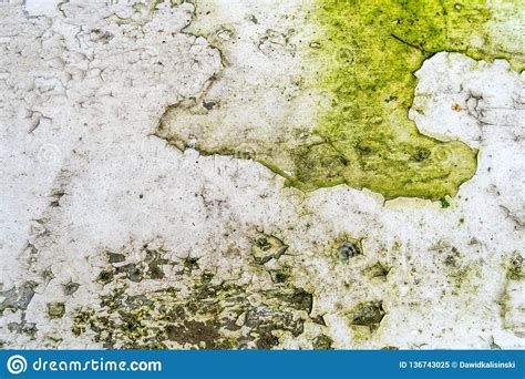 Green Moss And Rust On Metal Surface With Patterns And Cracks High