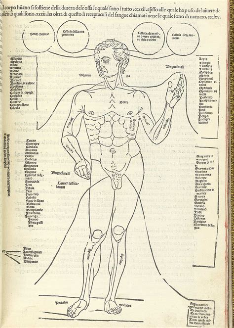 Transgender woman jessica has described in graphic detail the process of having a vaginoplasty after which she said parts of the body 'melt off'. De Medicina