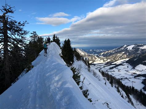 6.8 km from hallein station Schlenken über Jägernase vom Halleiner Haus • Skitour ...
