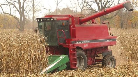 Corn Harvest 2020 Case Ih 1640 Axial Flow Combine Harvesting Corn