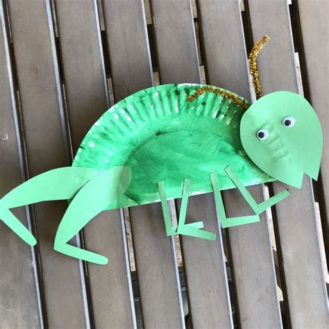 Little School of Smith’s- paper plate bugs-grasshopper in 2021 | Insect