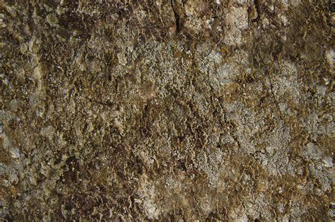 Seamless Texture Rock And Moss By Koncaliev On Deviantart