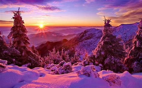 Winter Sky Sunset Mountains Forest Trees Spruce Snow Hd