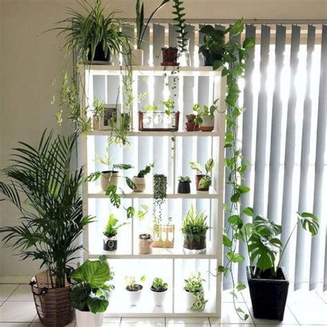 35 Amazing Indoor Plants Decor Ideas Make You Feel Relax Plant Decor