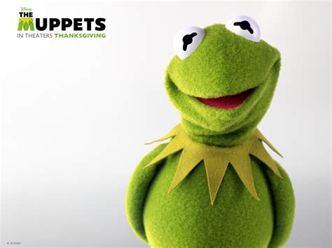 Image Wpaper Kermit 2 Standard Muppet Wiki Fandom Powered By