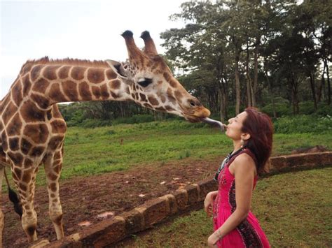 Top 11 Tourist Attractions In Nairobi City Attractions In Nairobi
