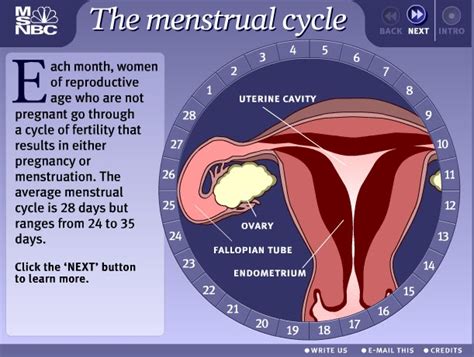 Hey, we are here with another asset science quiz designed for class iii students. SCIENCE PT3: FORM 3 : MENSTRUAL CYCLE