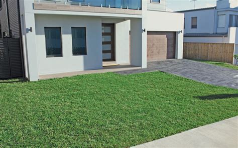 Shade Plus Buffalo | Lawn Delivery Bunnings NSW | Turf ...