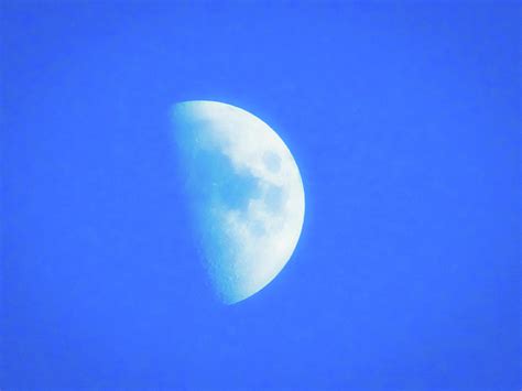 Dream Moon Photograph By Erin Hayes Pixels