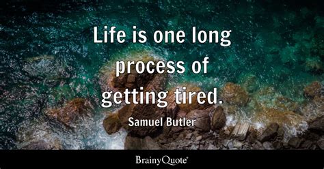 Top 10 Samuel Butler Quotes Brainyquote