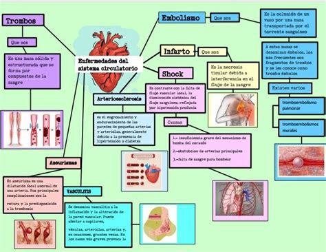 Enfermedades Del Sistema Circulatorio Peanuts Comics Maps Circulatory
