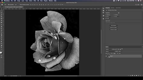 How To Colorize A Black And White Photo In Adobe Photoshop
