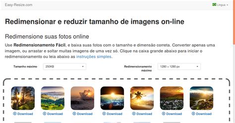 Diminuir Fotos E Imagens Online Gratuitamente Easy