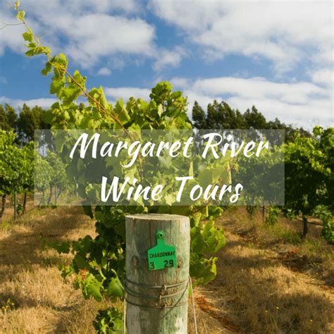 Margaret River Wine Tours Your Options Travelling Corkscrew