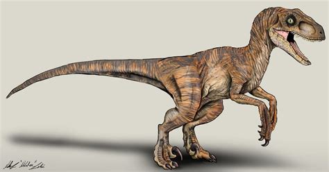 The Lost World Jurassic Park Velociraptor Female By Nikorex Jurassic