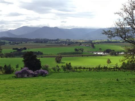 A Day in the Yarra Valley 26 August AND 16 September 2015 – Whittlesea U3A