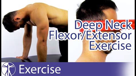 Neck Pain Exercises For Aspecific Neck Pain Deep Cervical Flexors