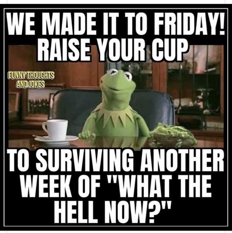 Funny Friday Jokes For Work Freeloljokes