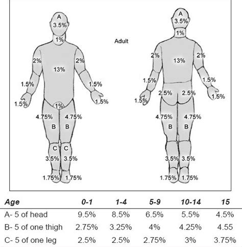 Lund And Browder Chart With Age Appropriate Measurements Of Bsa