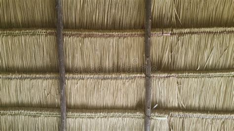 Bamboo Roof Texture Stock Image Image Of Construction 21021439