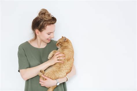 Picking Up A Cat Under The Arms Have Severe Blogs Photo Gallery