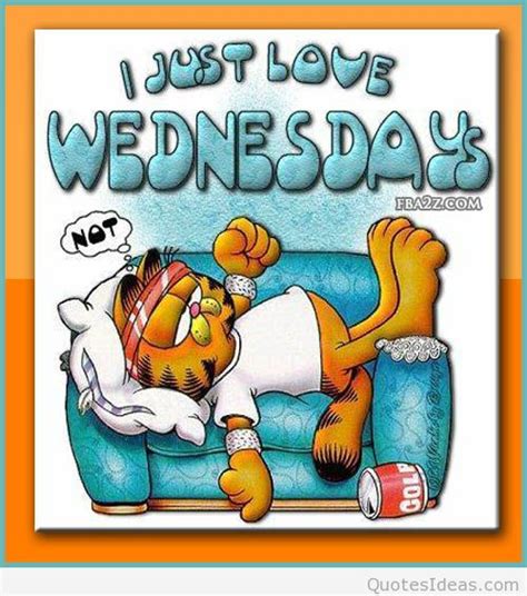 Happy Hump Day Clipart 7 Clipart Station