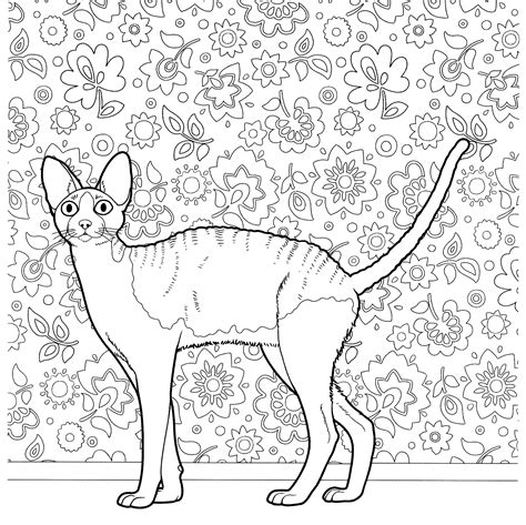 The singapura cat is one of the smallest breeds of cats, noted for its large eyes and ears, brown ticked coat and blunt tail. Cat Coloring Pages for Adults - Best Coloring Pages For Kids