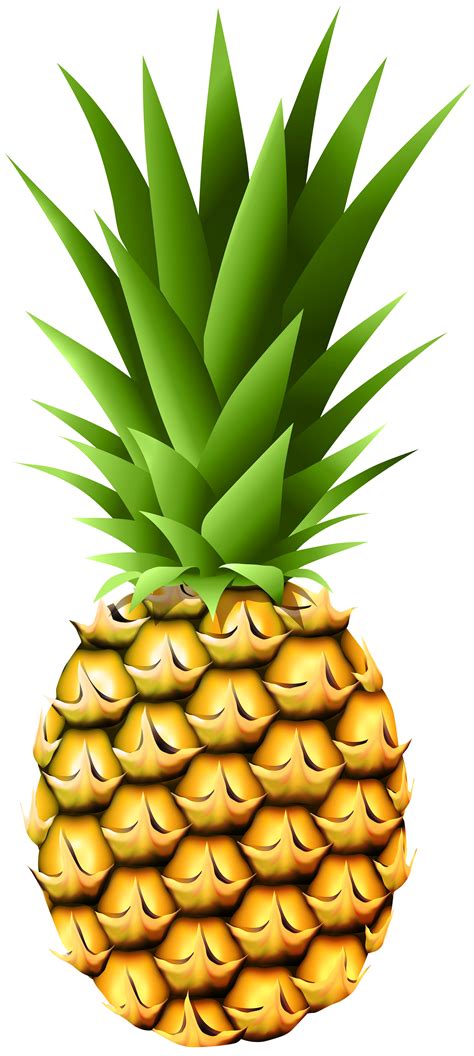 Pineapple Transparent Png Clip Art Image Gallery Yopriceville High