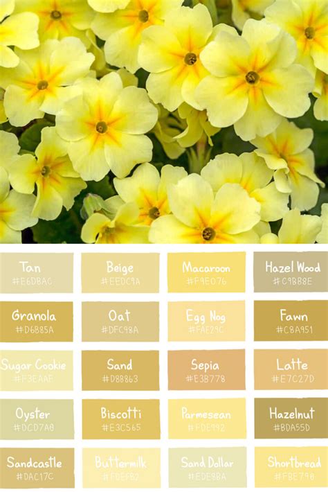 30 Types Of Yellow Flowers 2022 List A To Z Photos And Info Yellow