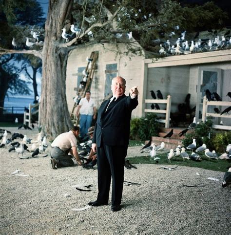 alfred hitchcock on the set of the birds 1963 alfred hitchcock hitchcock film alfred