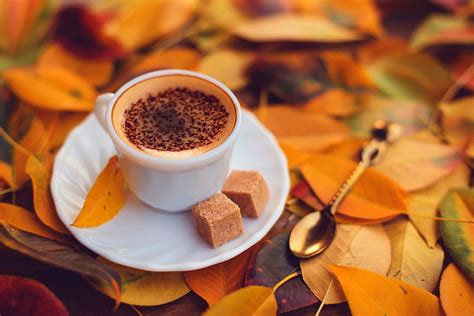 1170x2532px 1080p Free Download Cup Of Coffee Fall Autumn Leaves