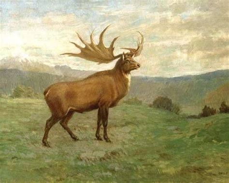 Page about the animals in united kingdom, lists the different species grouped by order in united kingdom. Abe's Animals: Pictures of the 21 most amazing British ...