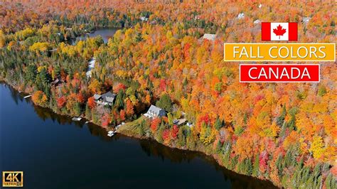 fall season in quebec canada │ 4k camera drone captures stunning landscapes and fall colors
