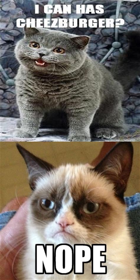 I Can Has A Grumpy Cat Grumpy Cat Know Your Meme