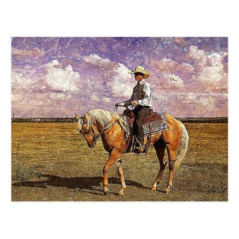 Cowboy On A Palomino Horse Postcard Palomino Horse