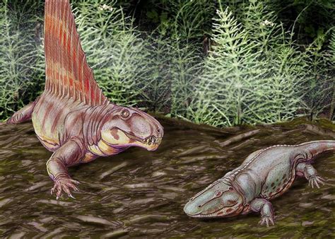 A History Of Life On Earth The Palaeozoic Era Owlcation