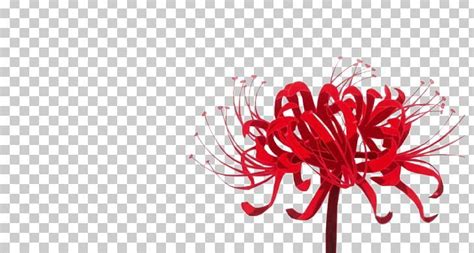 Red Spider Lily Tokyo Ghoul Flower Rat Png Botany Cartoon