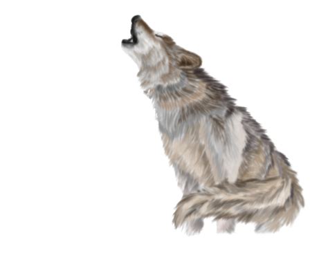 Maybe you would like to learn more about one of these? Wolf PNG Transparent Images | PNG All