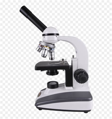 Microscope Png Compound Light Microscope Transparent Png Download Vhv