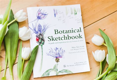 Botanical Sketchbook A Guide And Inspiration For Any Botanical Artist