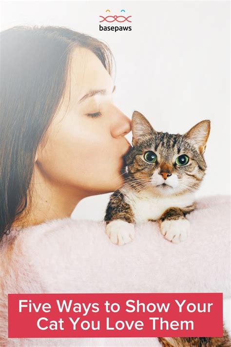 Five Ways To Show Your Cat You Love Them Cats Love Your Pet Day Cat