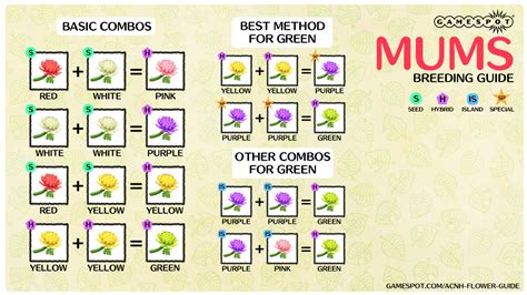 This includes how to get hybrid flowers flower breeding charts flower layout flower genetics. Animal Crossing: New Horizons Hybrid Flowers Guide - How ...