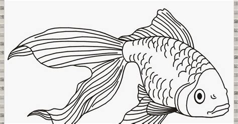 Download Gambar Mewarnai Ikan Cara Seru Belajar Mewarnai Bagi Pemula