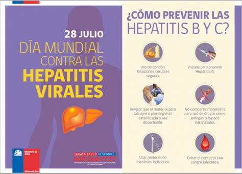 En El D A Mundial De La Hepatitis Viral Servicio De Salud Chilo Llam A Prevenir La Enfermedad