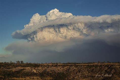 Stunning Photos Of Pyrocumulus Clouds Over The Claremont Bear Fire