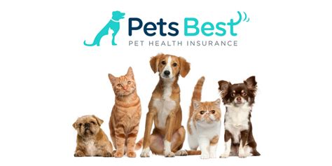 Check spelling or type a new query. Pets Best Insurance Reviews - Best Pet Reviews